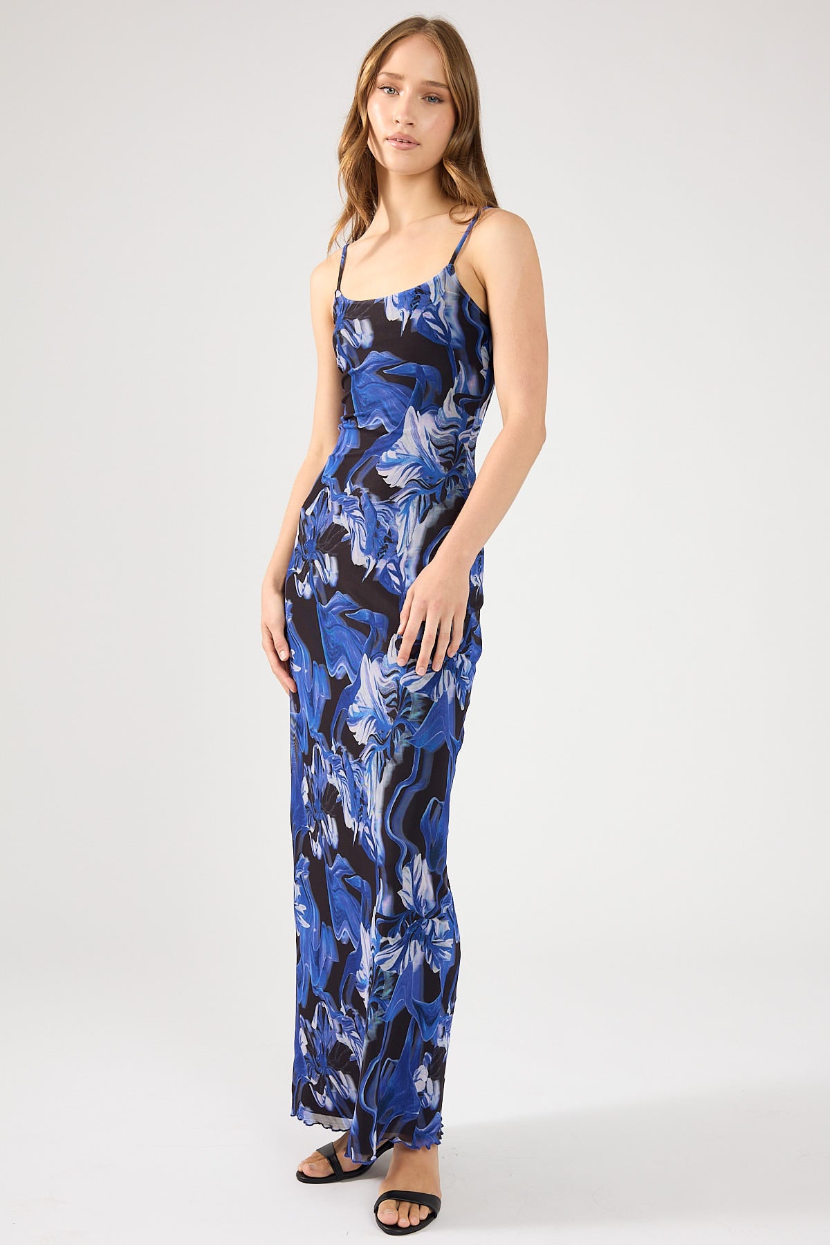 Perfect Stranger Campanula Mesh Maxi Dress Blue Print