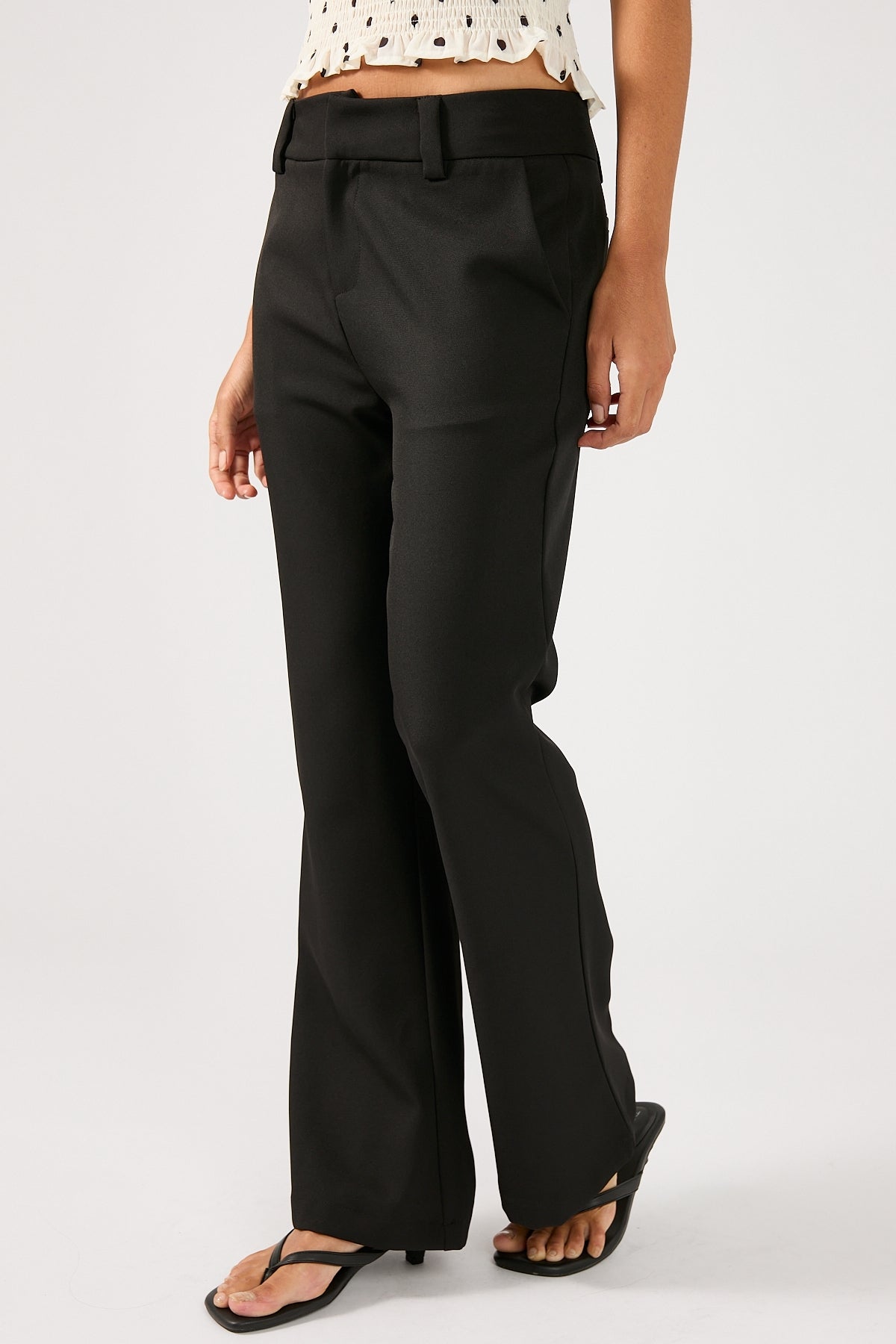 Perfect Stranger Romeo Bootcut Tailored Pant Black