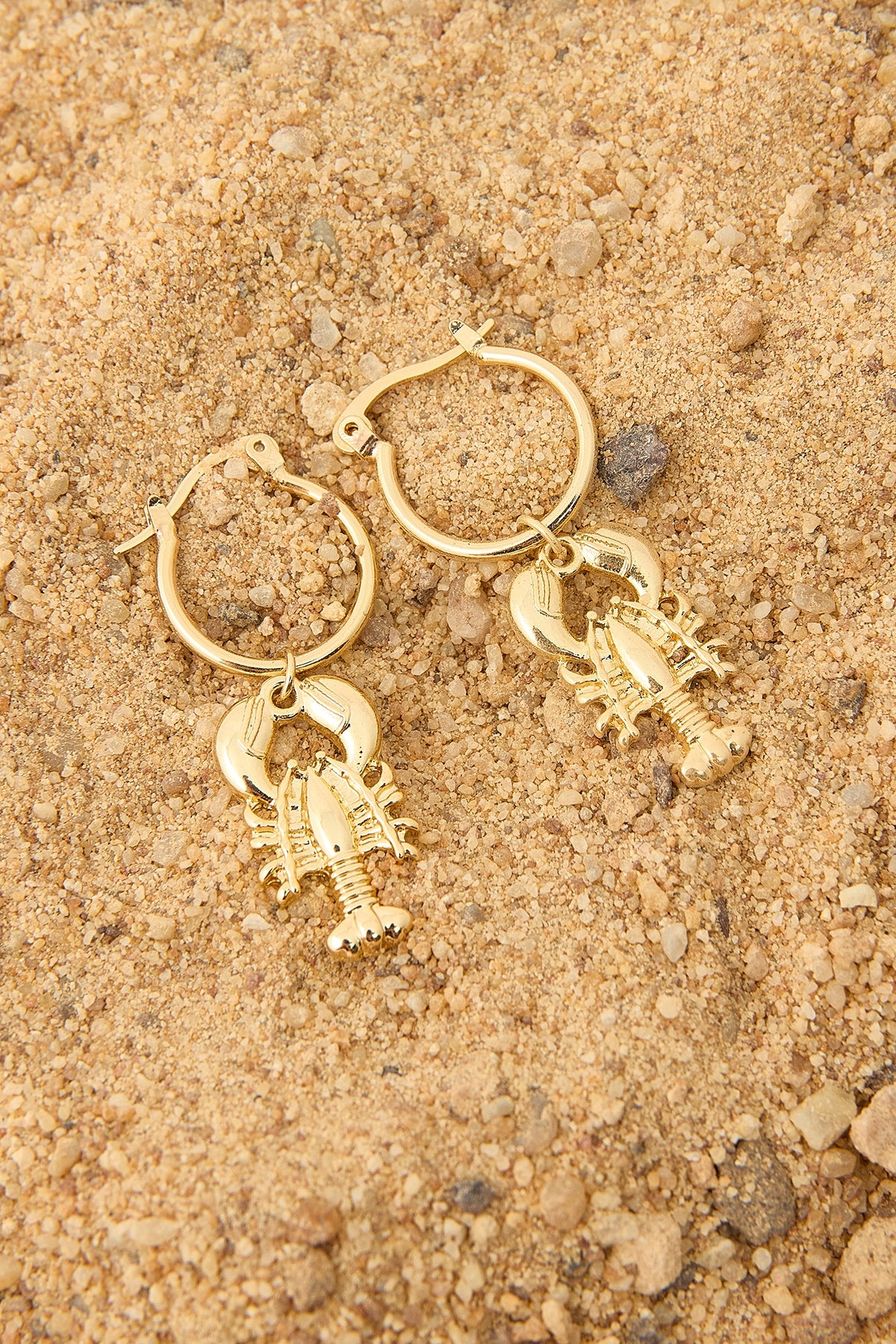 Perfect Stranger Adriana Lobster Earrings 18K Gold