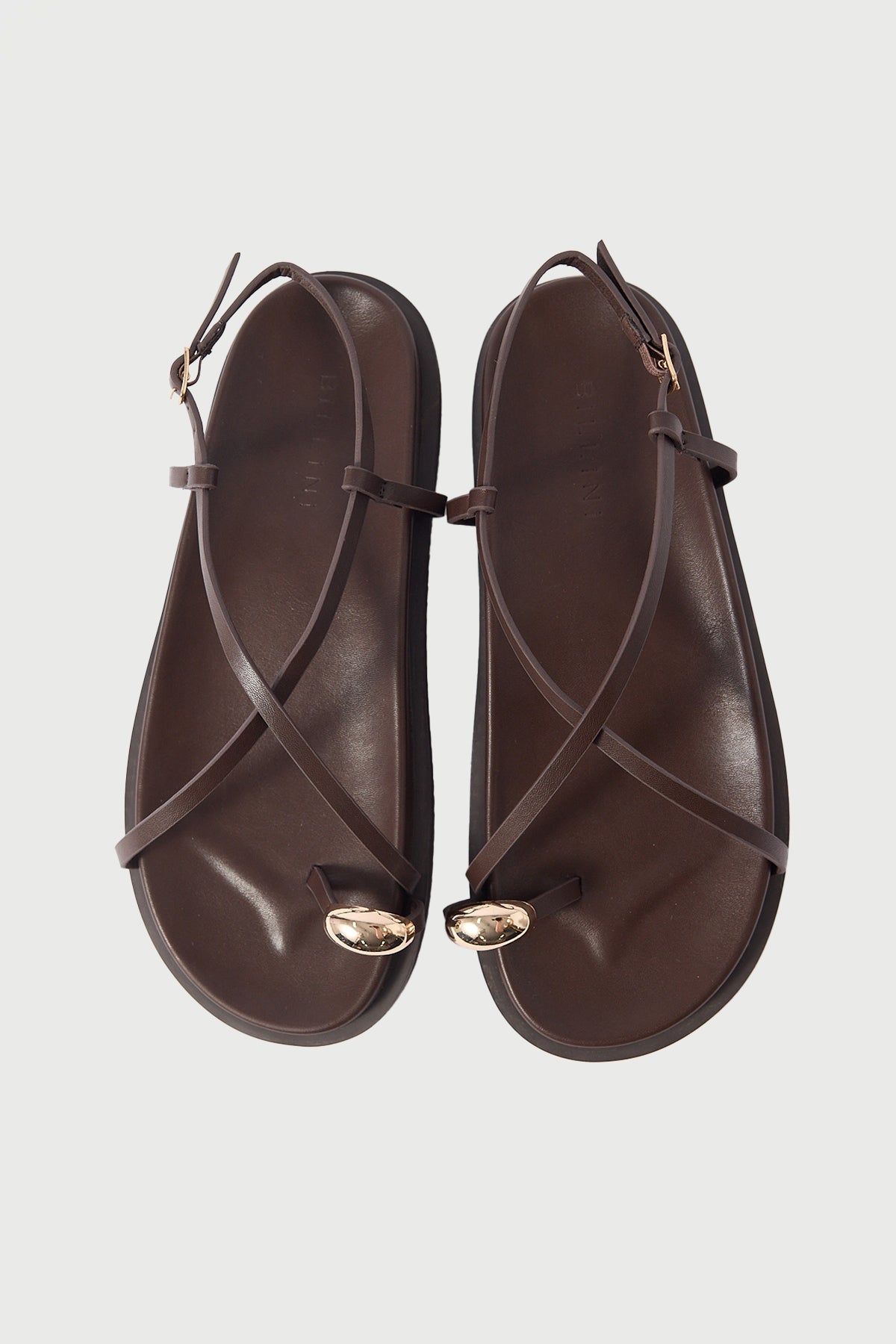 Billini Tawny Chocolate