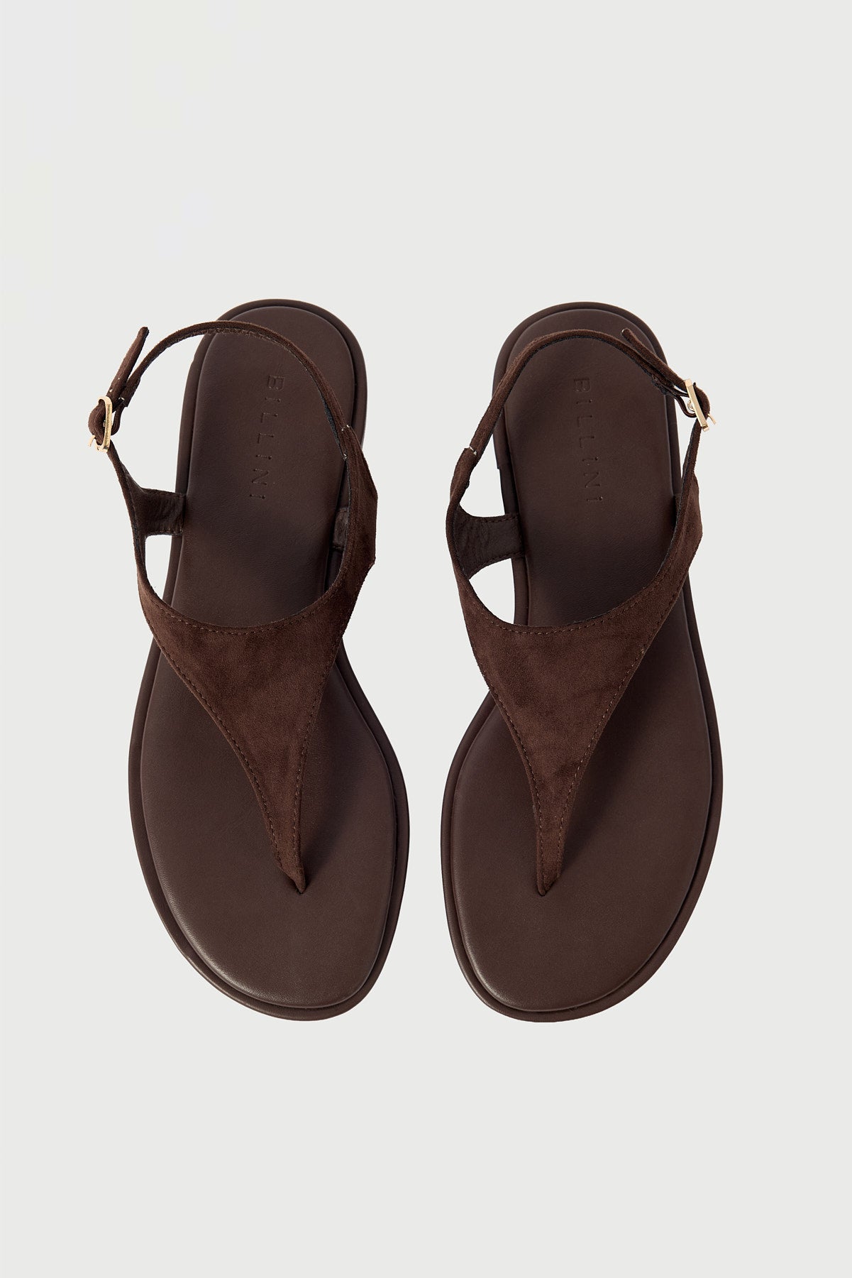 Billini Ivone Brown