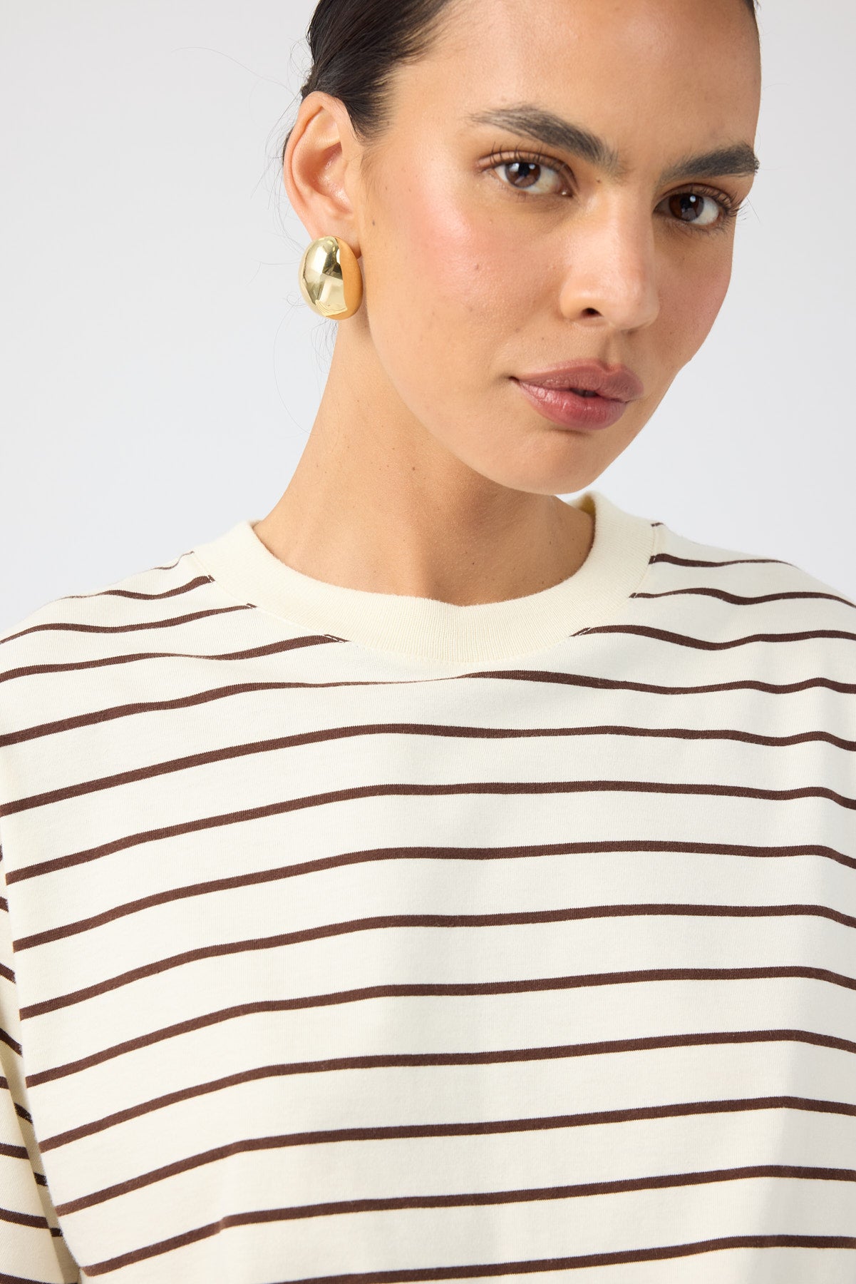 Perfect Stranger Oversized Stripe T-shirt Brown Stripe