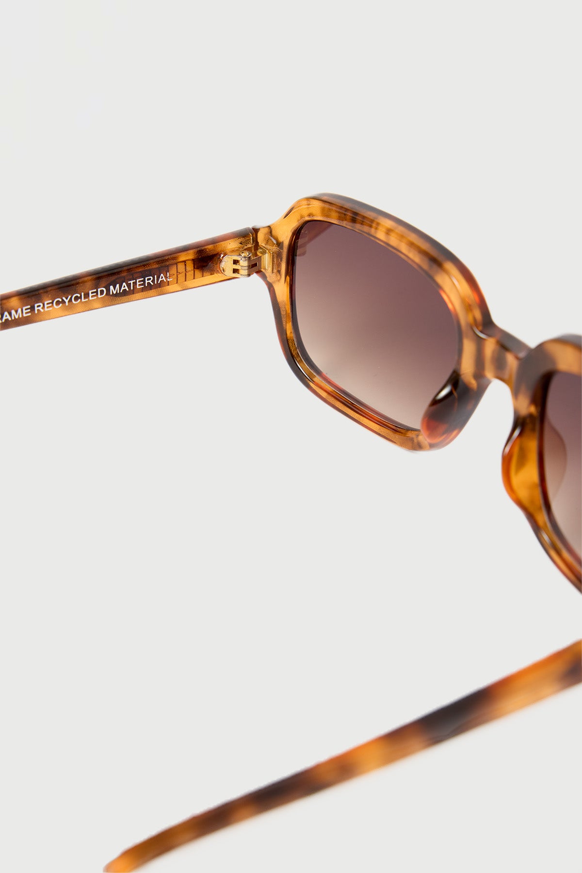Reality Eyewear Beatnik Turtle
