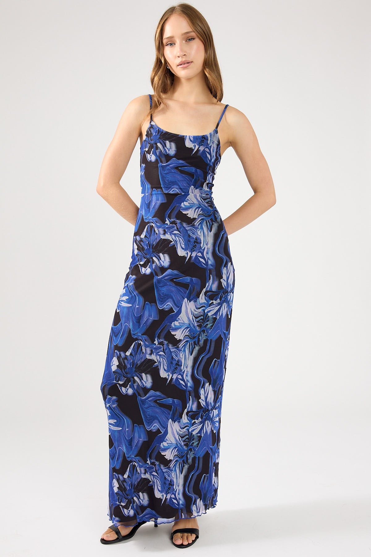 Perfect Stranger Campanula Mesh Maxi Dress Blue Print