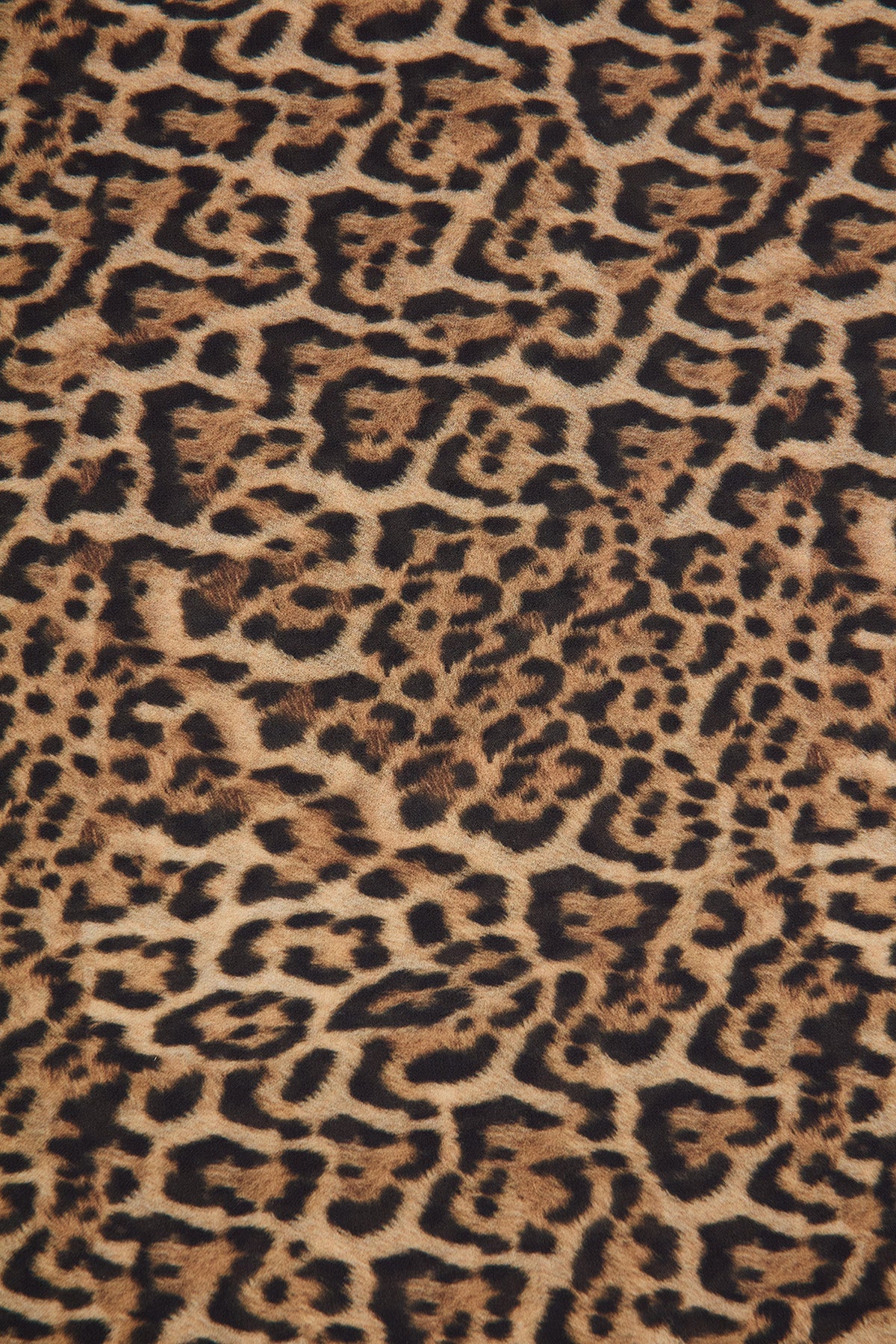 Perfect Stranger Serengeti Leopard Scarf Leopard