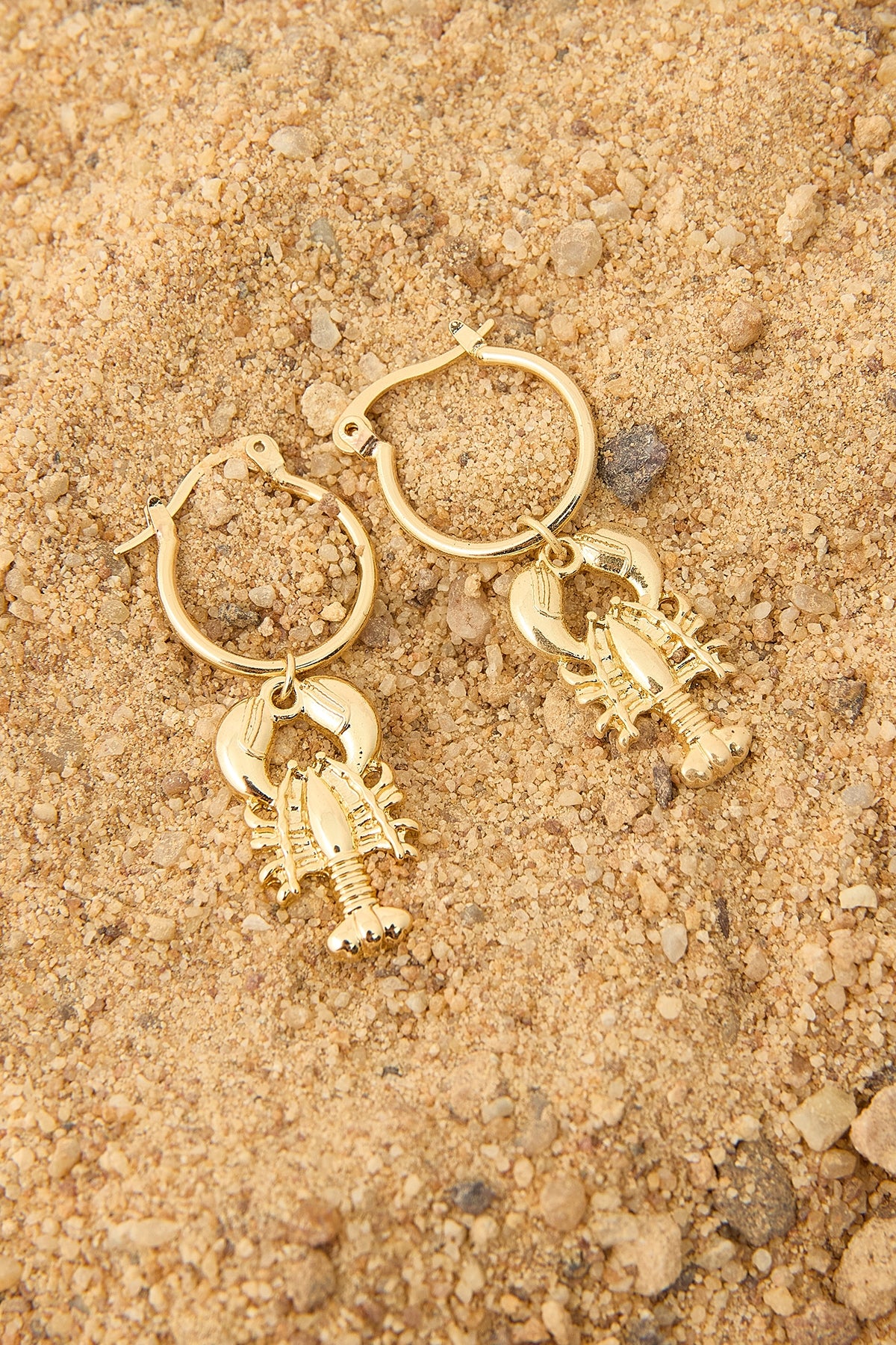 Perfect Stranger Adriana Lobster Earrings 18K Gold