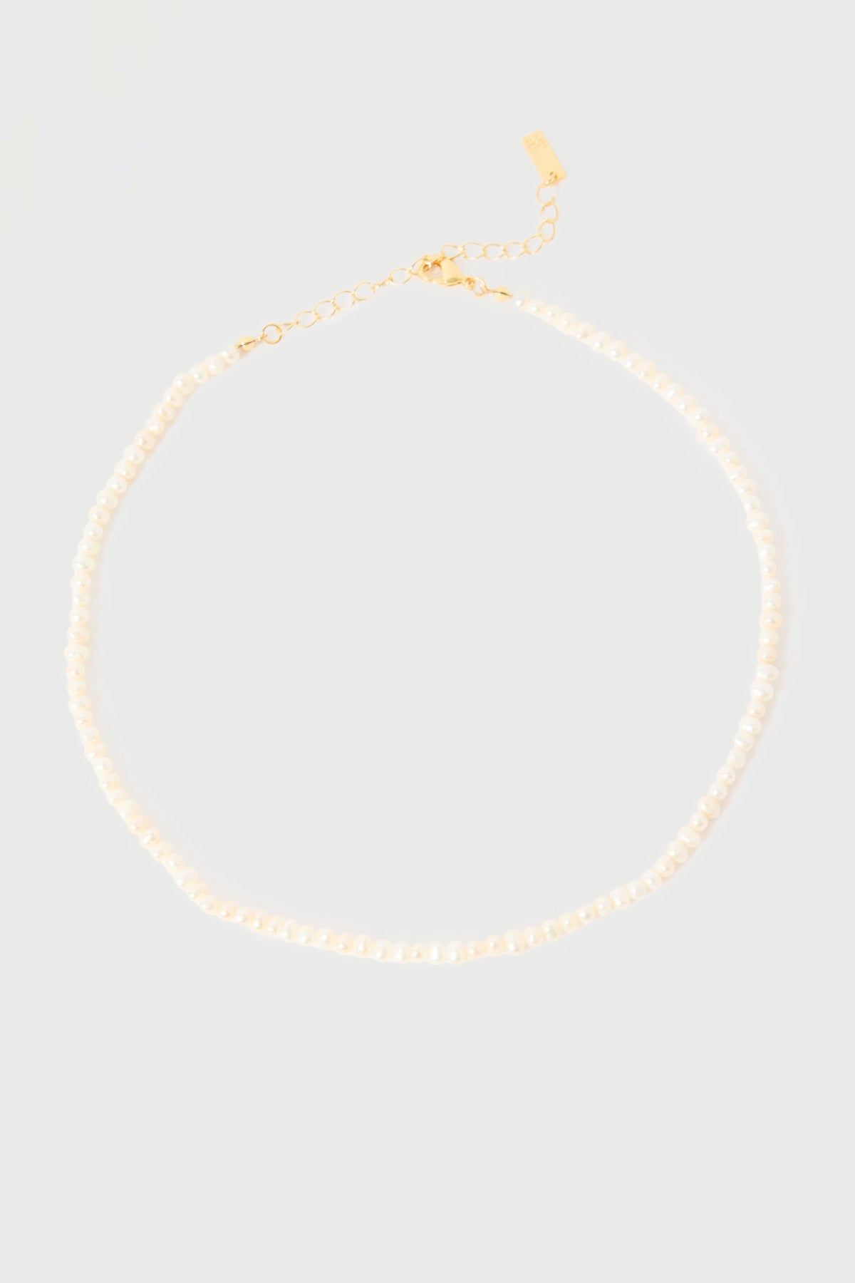 Perfect Stranger Juniper Freshwater Pearl Necklace Pearl